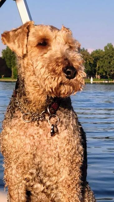 6efdb1f6-2db2-494b-89aa-03f27e8b9f0d-1_all_3549