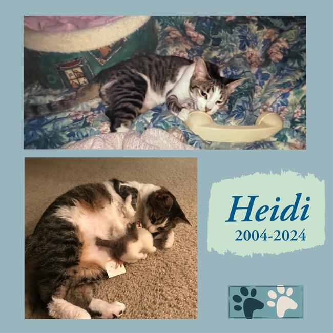 b7046e2a-f7de-4195-afc4-d892d548c151