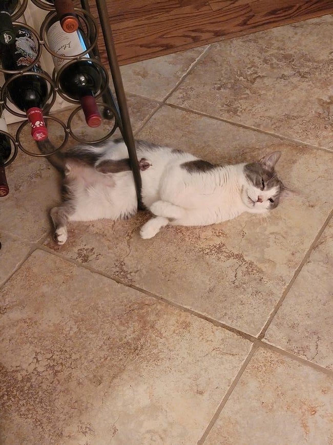 inbound1257515920210919221