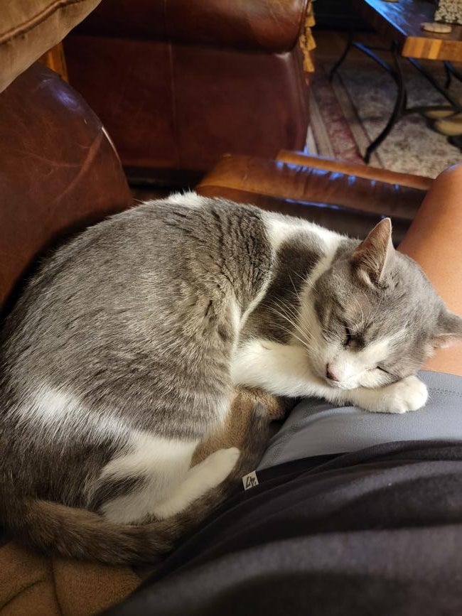 inbound1827415021032120882