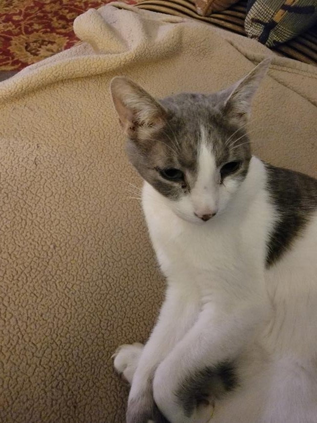 inbound2383369676891678282