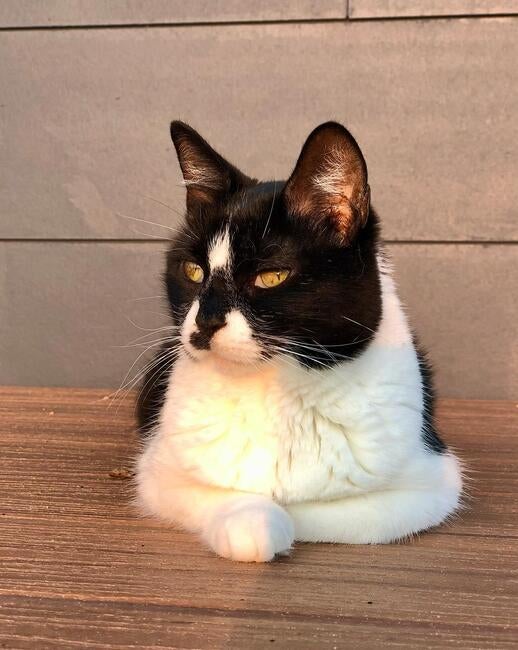 532470750_18519913075056366_7171527875292737006_n