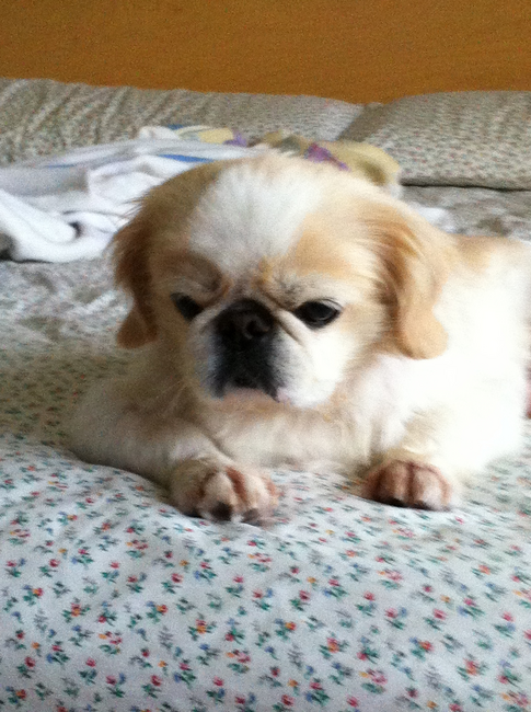 inbound403690508537485179