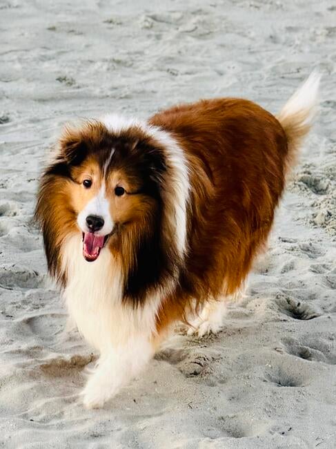 3072c948-090f-4285-9a08-c654fe1569c1