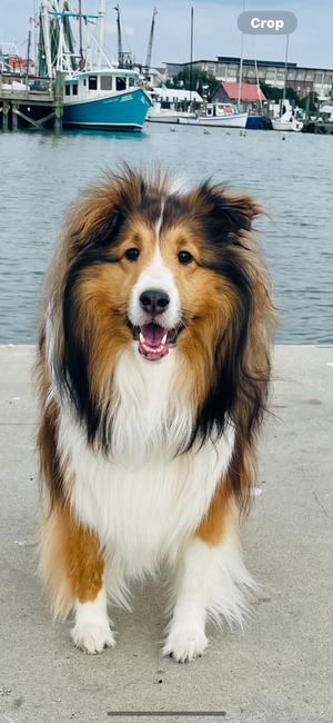 b2f76856-bb6e-4ad4-a4cf-a30d6f3362a6