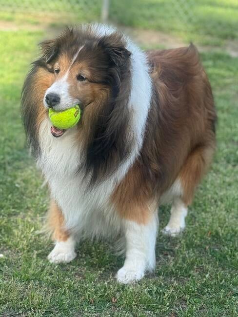 bf0b50f9-9576-466e-9208-20044aec81db