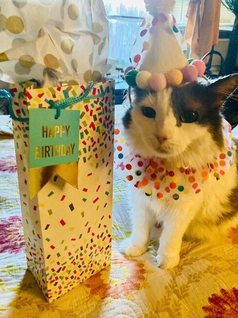 450004189_10160053295042314_7932479899563810377_n