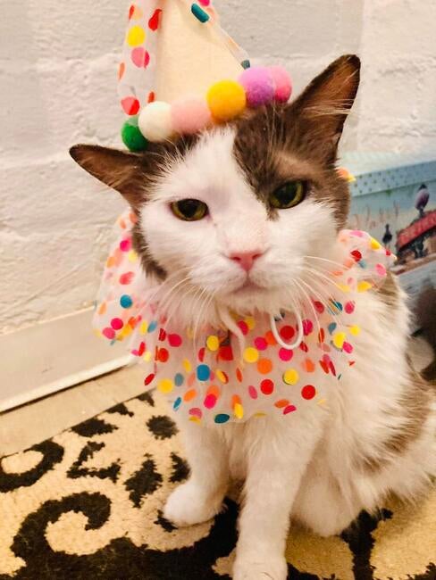 450005815_10160053294952314_4054428318637170913_n