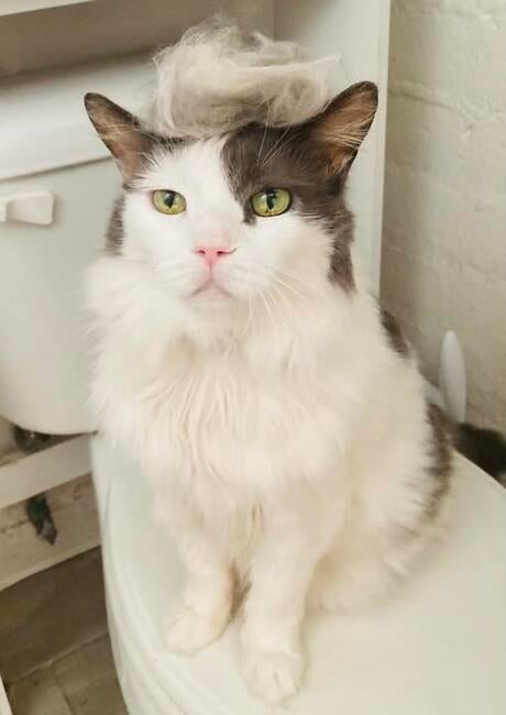 454320619_10160126892767314_3014238760157826221_n