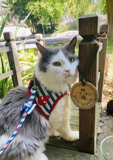 456714115_10160182852152314_2552825857409288288_n