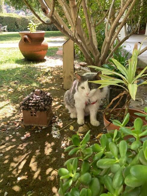 456921144_10160182852032314_472894852147163599_n