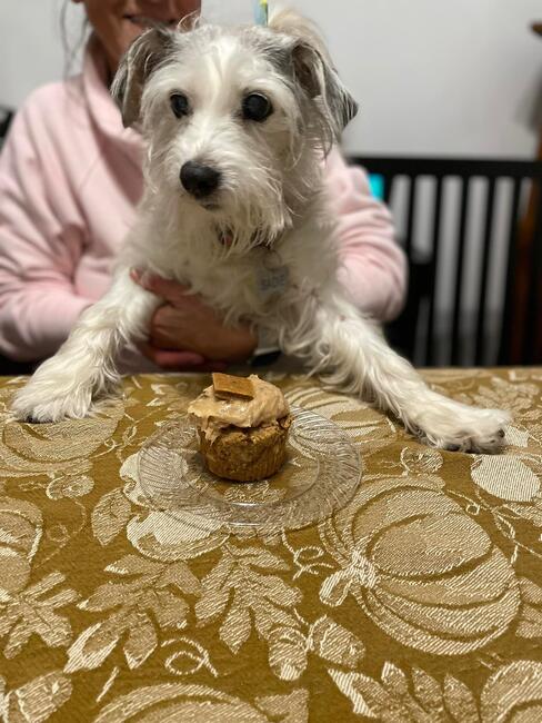 qx3uog8rsfq5a_qw2qd70g