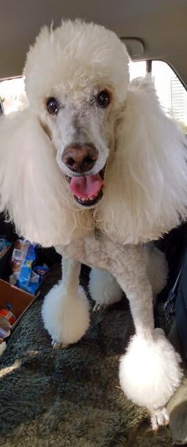 img_20230507_153656816_hdr