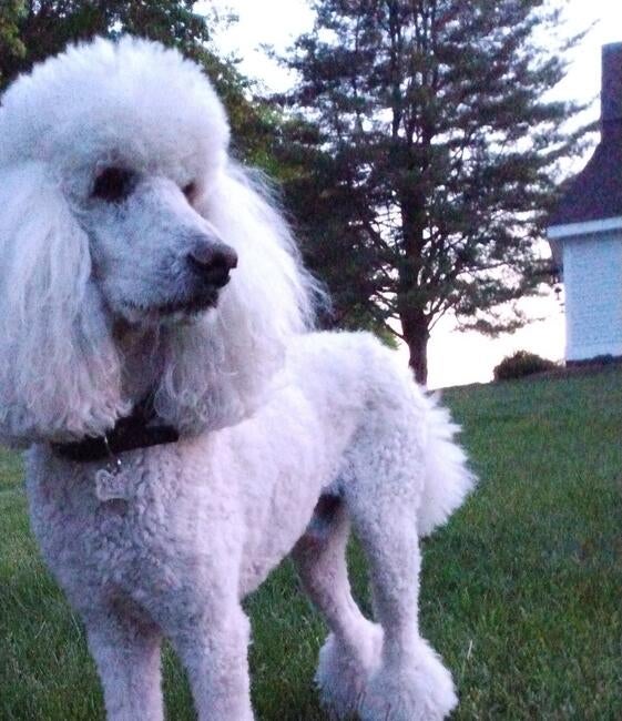 img_20230531_204331256