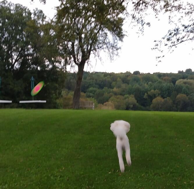 img_20230917_182544387_burst001~2