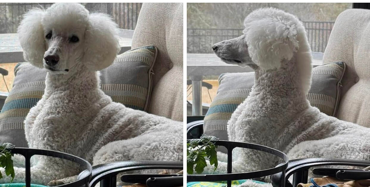 225853cd-5ffa-4816-8f98-e2b210268b00