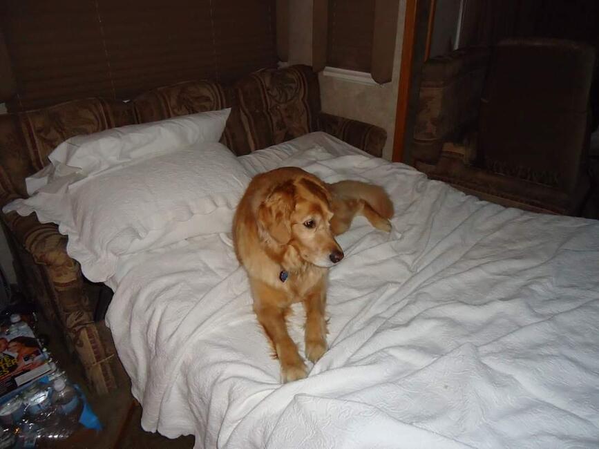 fb_img_1629665133003