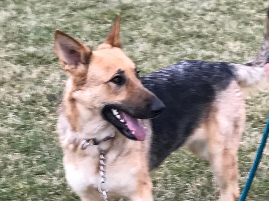 4a4b6f45-038b-4e51-af94-68dcfee831bb