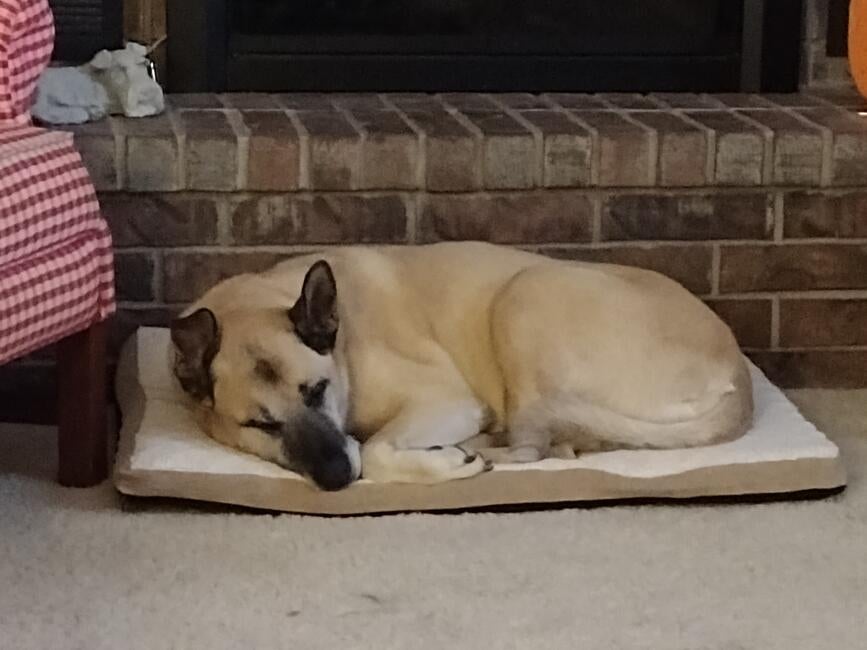 img_20221102_195623543