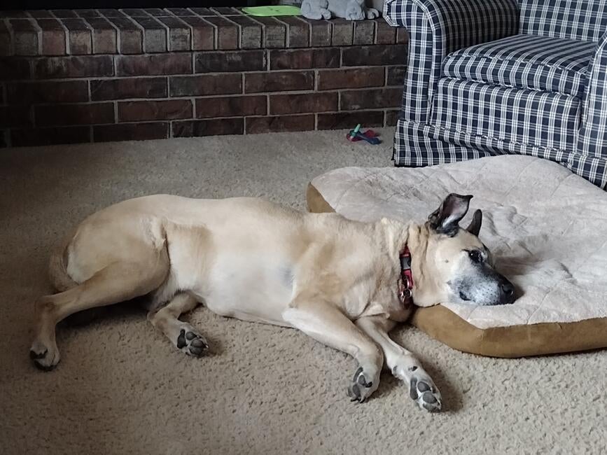 img_20230402_145755447