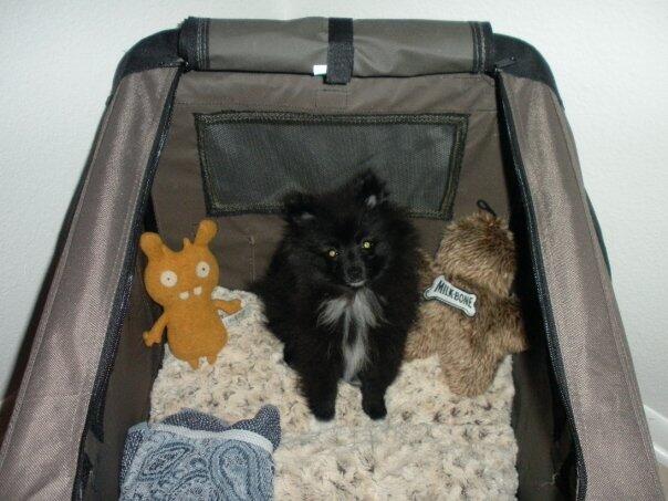 516772962_10162308229074724_7694073414539126306_n