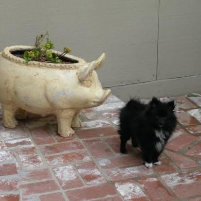 518284767_10162308122204724_4972201603682230405_n