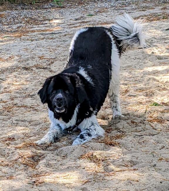 pxl_20220929_152409936