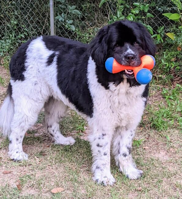 pxl_20230611_003543803