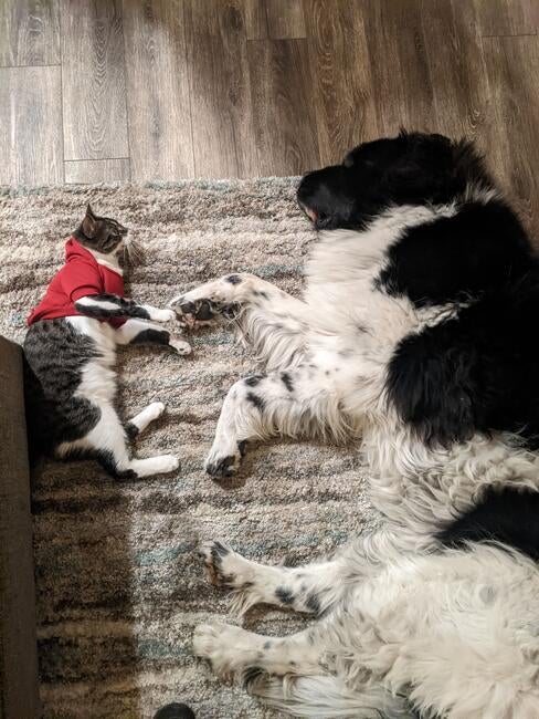 pxl_20231222_023237349