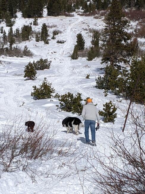 pxl_20231224_182819003