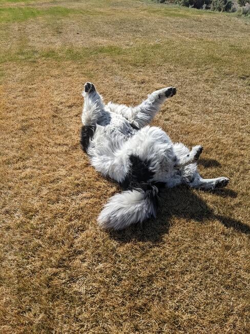 pxl_20250428_160417966