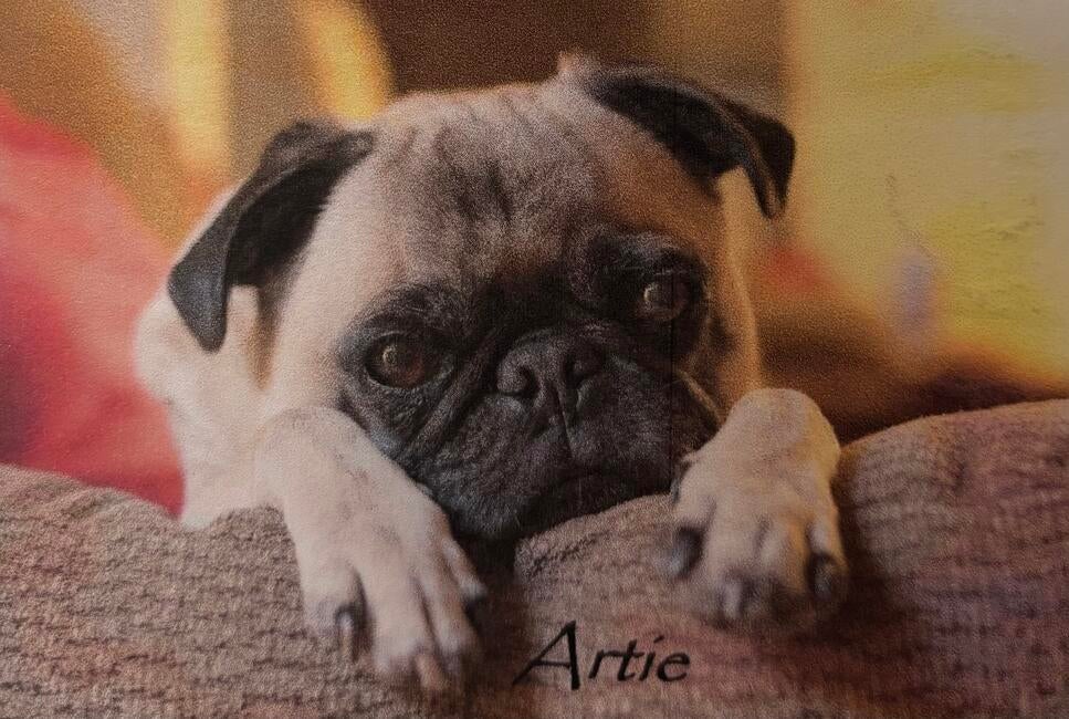 artie