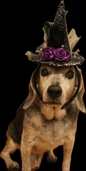 77e4d8df-0eb7-44da-8ea4-2a7634191e37