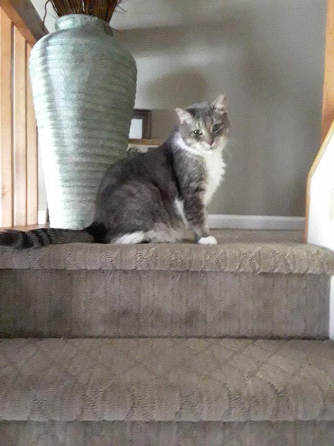 82fc38c1-5c9c-4dfd-b8f3-018cf72906df-1_all_232