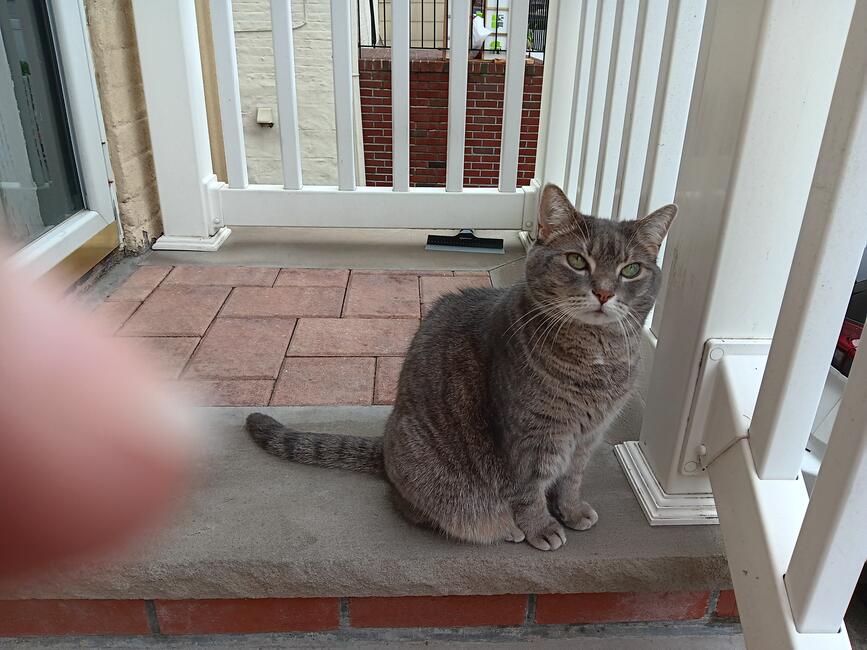 96d02899-d97f-4a99-8aaa-38f4e83f05a4-1_all_1148