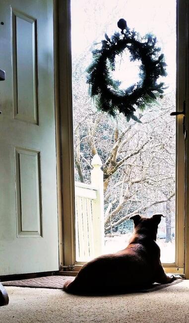 mags-at-front-door-5