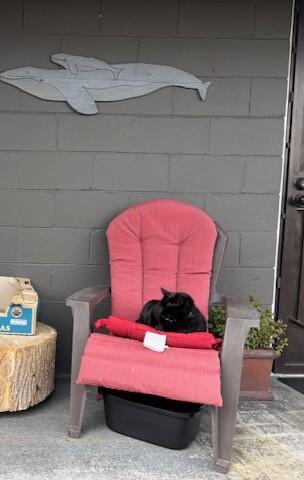 taz-pic-best-friends