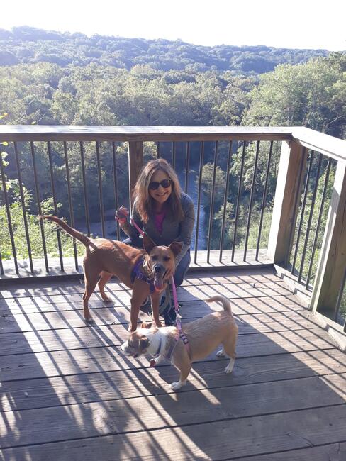 2bf07030-4d5a-49ba-a6c9-910794de62ad-1_all_10073