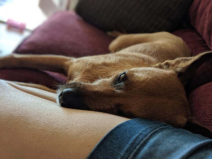 2bf07030-4d5a-49ba-a6c9-910794de62ad-1_all_10516