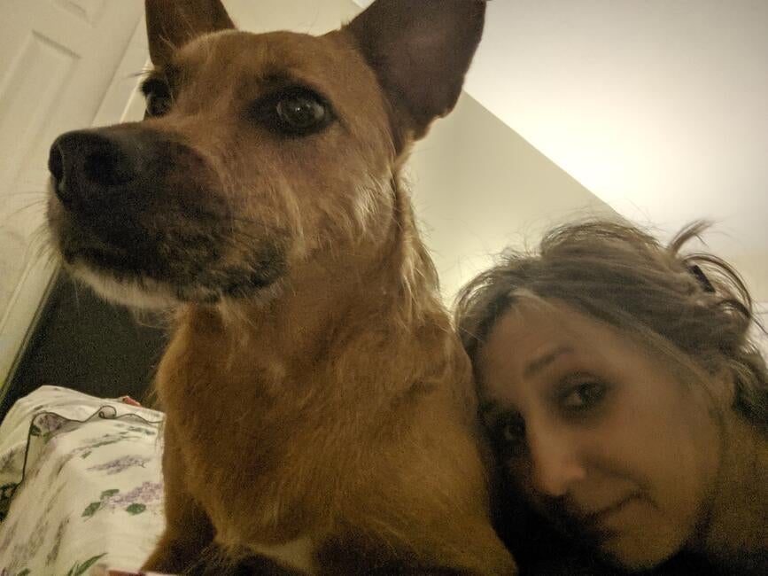 2bf07030-4d5a-49ba-a6c9-910794de62ad-1_all_10732