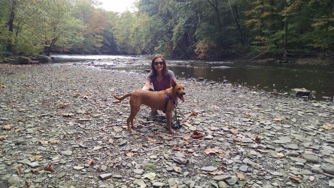 2bf07030-4d5a-49ba-a6c9-910794de62ad-1_all_14016