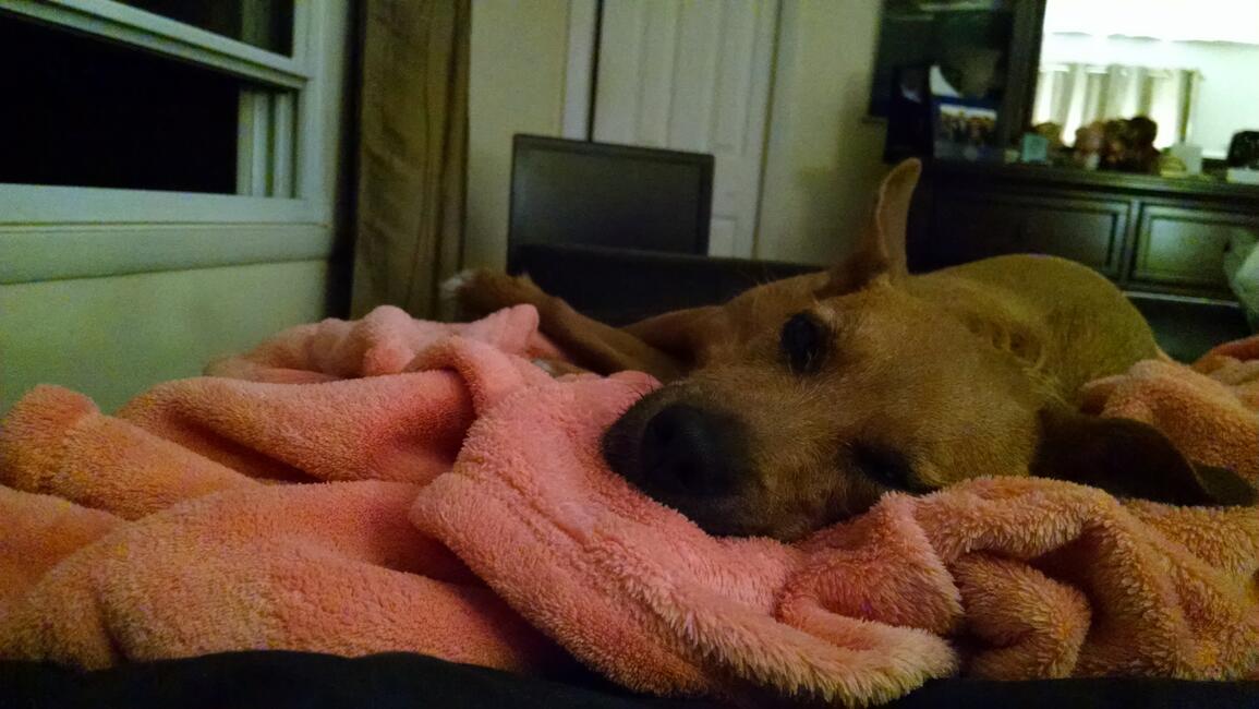 2bf07030-4d5a-49ba-a6c9-910794de62ad-1_all_14040