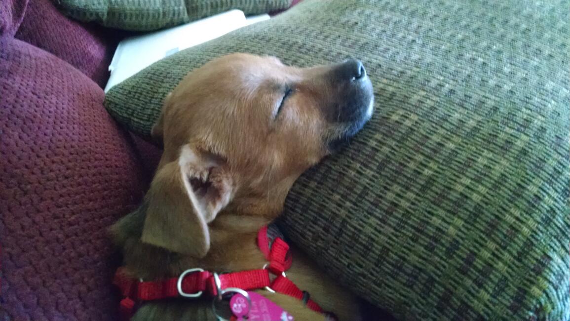 2bf07030-4d5a-49ba-a6c9-910794de62ad-1_all_15834