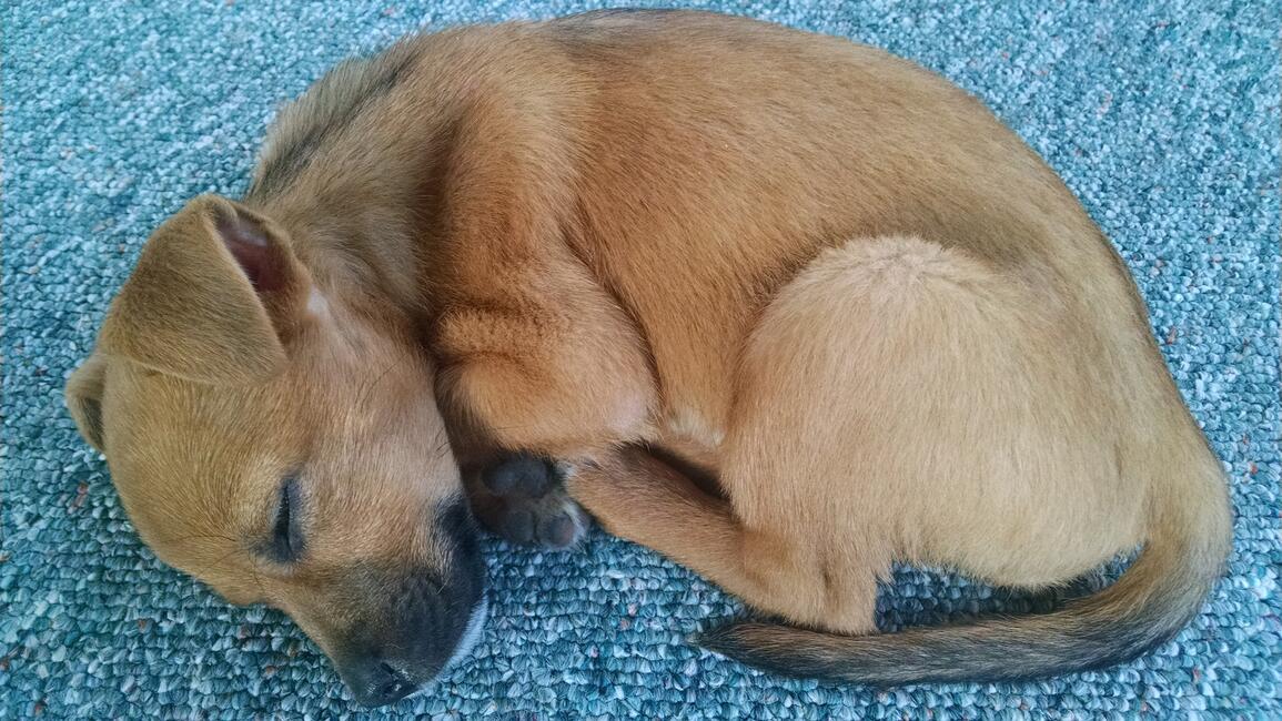 2bf07030-4d5a-49ba-a6c9-910794de62ad-1_all_2687