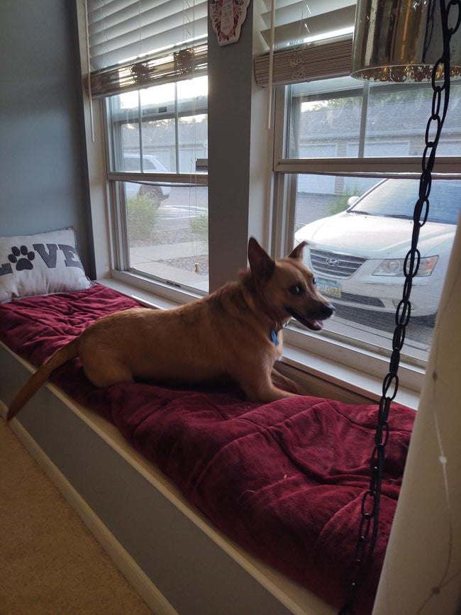 2bf07030-4d5a-49ba-a6c9-910794de62ad-1_all_9525