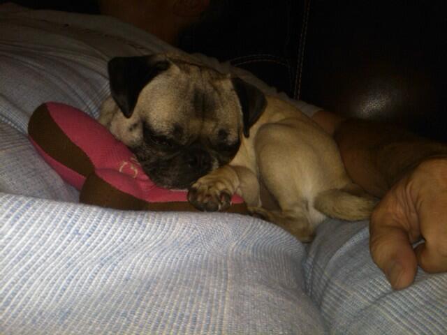 sleep