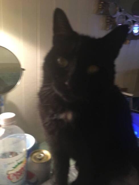 52871813_10219349096462986_418586997272084480_n