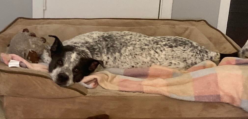 screenshot-2025-07-14-at-1