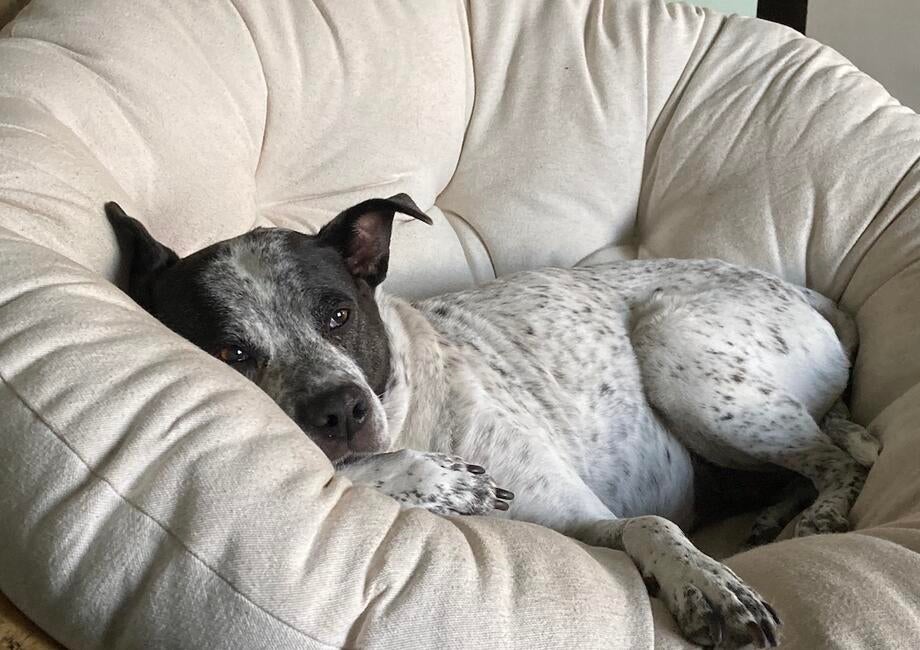 screenshot-2025-07-14-at-1