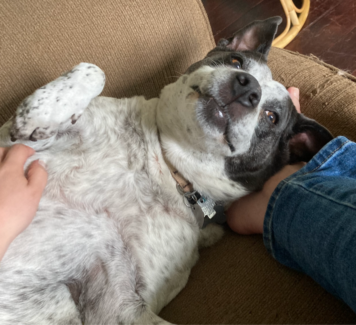 screenshot-2025-07-14-at-1